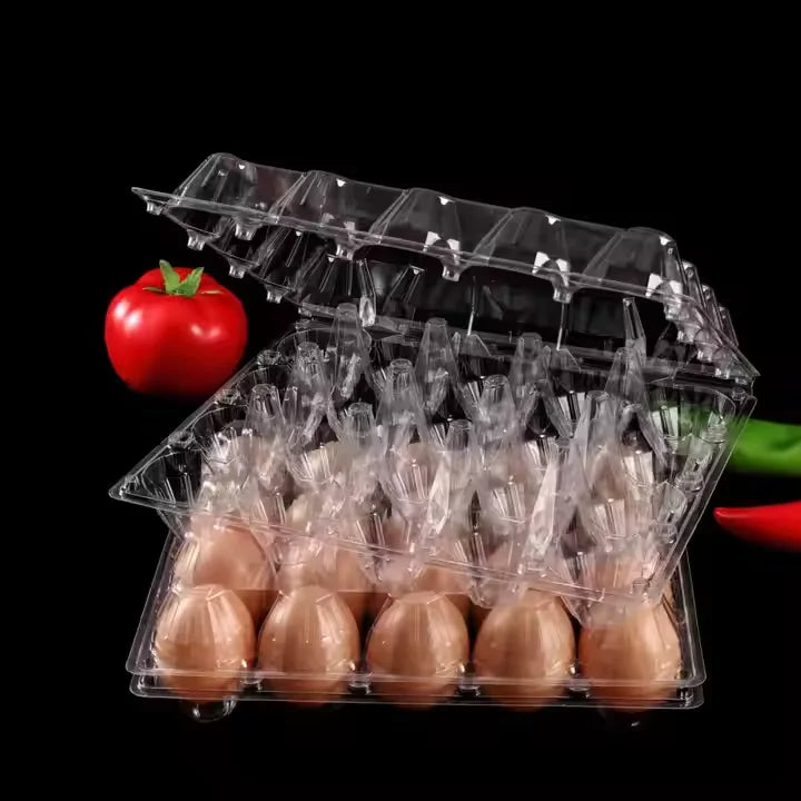 Plastic Egg Cartons 20 Cells clear Plastic Egg Cartons Pet Egg Cartons Tray Holder Container for Farm Business Plastic