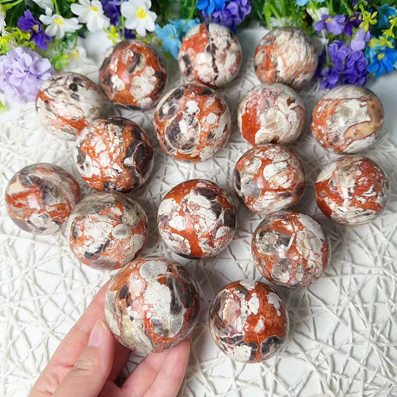 Mushroom Agate Crystal Sphere Bulk Natural Money Agate Crystal Healing Stones Polished Crystal Ball Ornament for Gifts