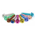 BRT High Quality Anodized Titanium Alloy Self-Tapping Screw Post Flange  Bolt  Gr5 Titanium Motorcycle Bolts