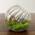 Modern Striped Eco-Friendly Glass Planter Vase Indoor Plant Pot for Home Gardening Desk Decoration Succulent Moss Customizable