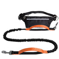 RTS Dual Padded Neoprene Handle Dog Leash Set Reflective Waist Bag Orange Color Made Polyester Nylon Alloy Plastic Pet Collars