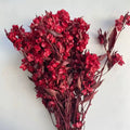 Factory Wholesale Dried Leaf Eco-Friendly Indoor/Outdoor Home Decoration Preserved Flower Material