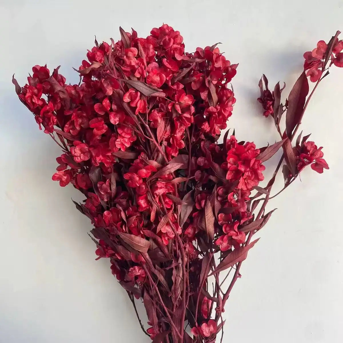 Factory Wholesale Dried Leaf Eco-Friendly Indoor/Outdoor Home Decoration Preserved Flower Material