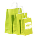 Eco-Friendly Classic Paper Gift Bag with Custom Logo Flexo Printing Custom Size & Patch Handle for Daily Use
