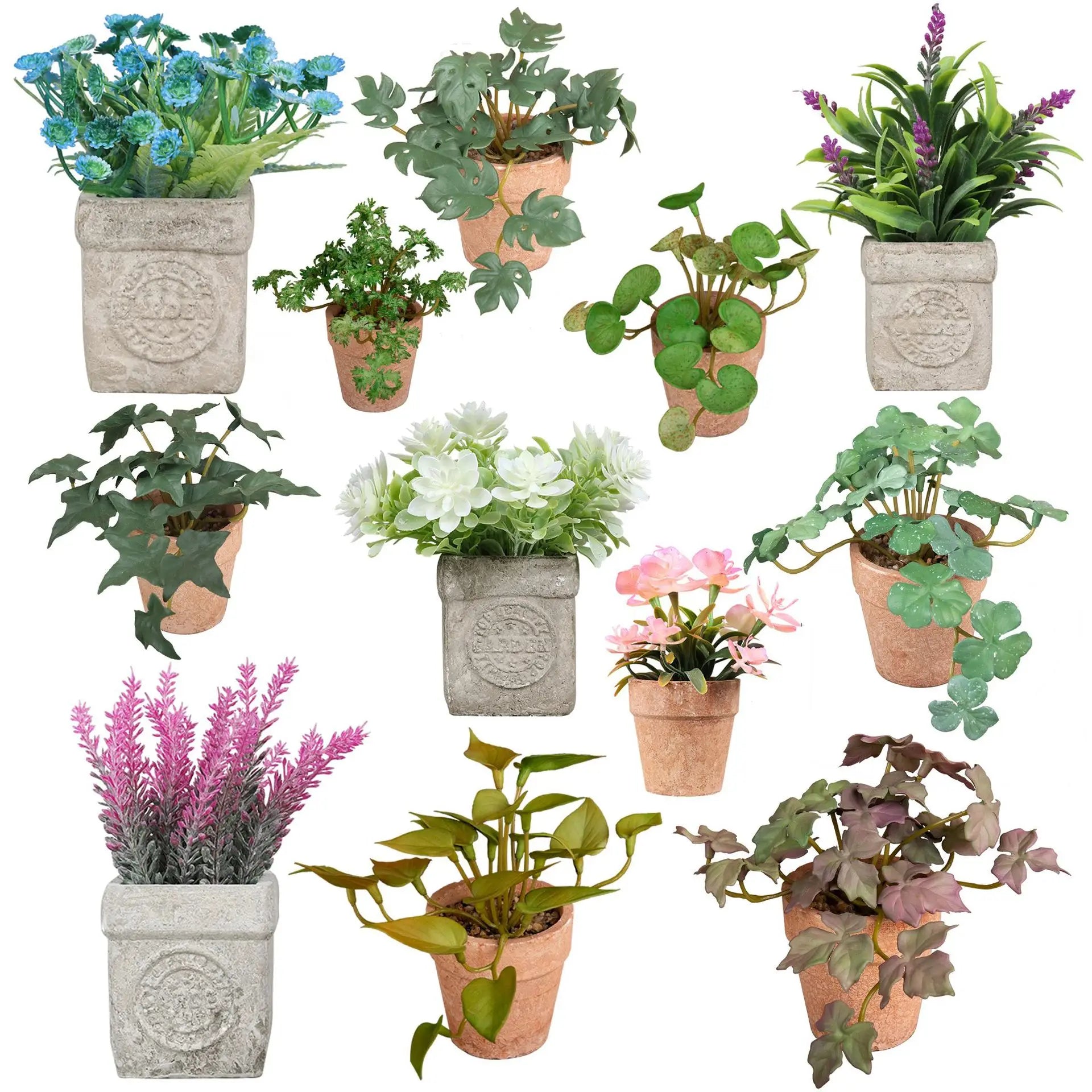 Mini DIY Artificial Succulent Stem White Rose and Echeveria Plastic Faux Plant for Home Decoration for Christmas Mother's Day