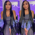13*4 Transparent Swiss Lace Front WigPre Plucked Raw Virgin Hair Wig 180% Density Straight Lace Frontal Wig for Black Women