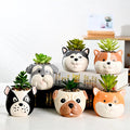 MSH Cartoon Puppy Animal Pot Creative Dog Office Desktop Succulent Planters
