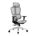 Comfortable Rotating Swivel Gas Lifting Revolving Guest Manager Computer Chair Ergonomic Mesh Executive Office Chair