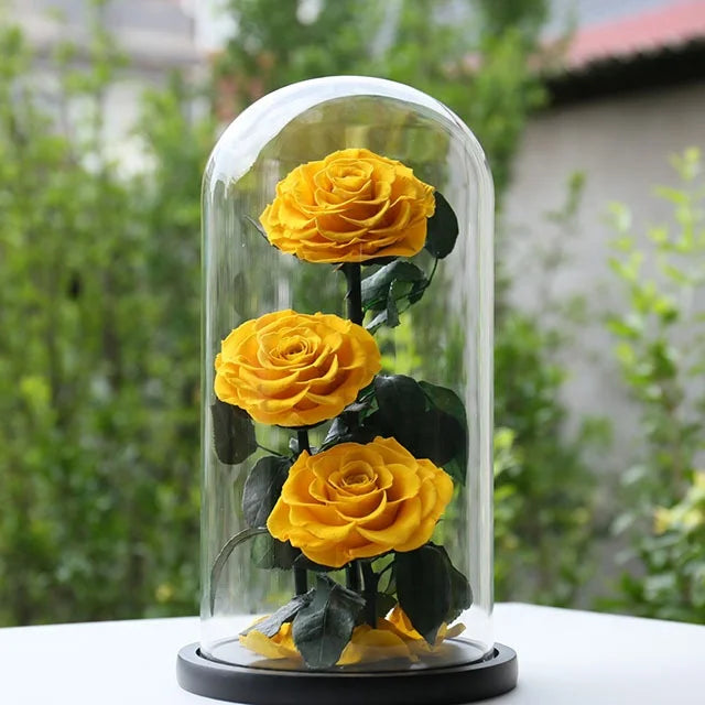 San Valentn Gifts Preserved Flowers Wholesale Forever Roses in Glass Domes Flores Preservadas Preserved Rose in Glass Jar