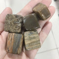 Natural Polished Cube Petrified Wood Crystal Square Tumbled Stone for Healing