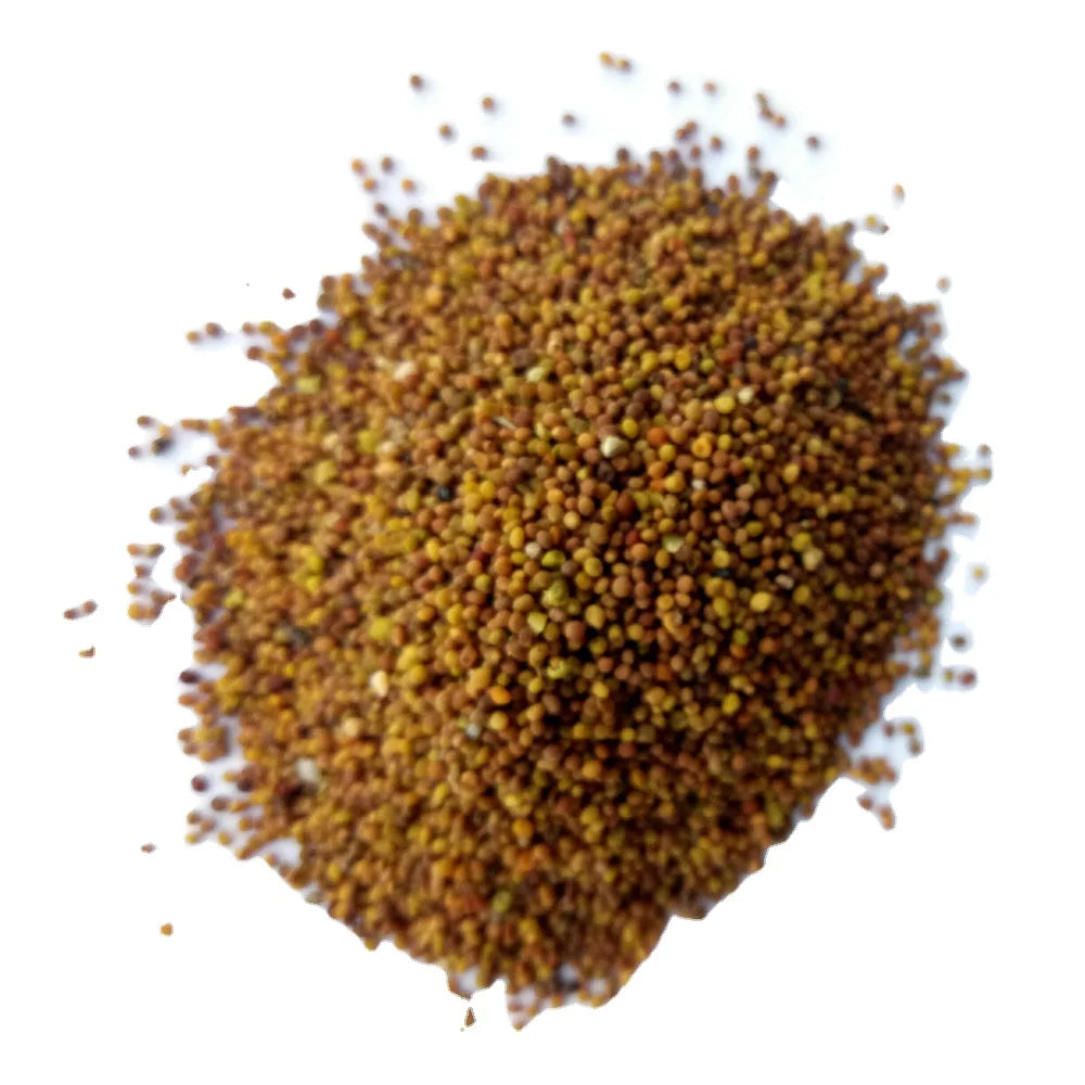 Tu Si Zi Bulk Cheap Price Tonify Herbs Cuscuta Australis Seeds Raw Dried SEMEN CUSCUTAE for Sale