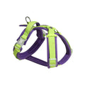 Maychan Ready to Ship Double-color Quick-released Mesh Pad Pet Dog Harness for Training Running Walking