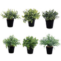 Lifelike Supplier Artificial Plants Eucalyptus Rosemary Leaves Artificial Grass Plastic Potted Plants Indoor Decoration