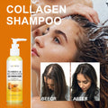 Best-Selling Ginger & Turmeric Scalp Care Shampoo Natural Anti-Dandruff Antioxidant Properties Gel Liquid Forms Collagen Added