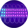 Light Design Light Box Decoration Ws2811 1903 3pcs Chip Lens Dc12v Smart Magric Programming Digital RGB Led Module for Signage