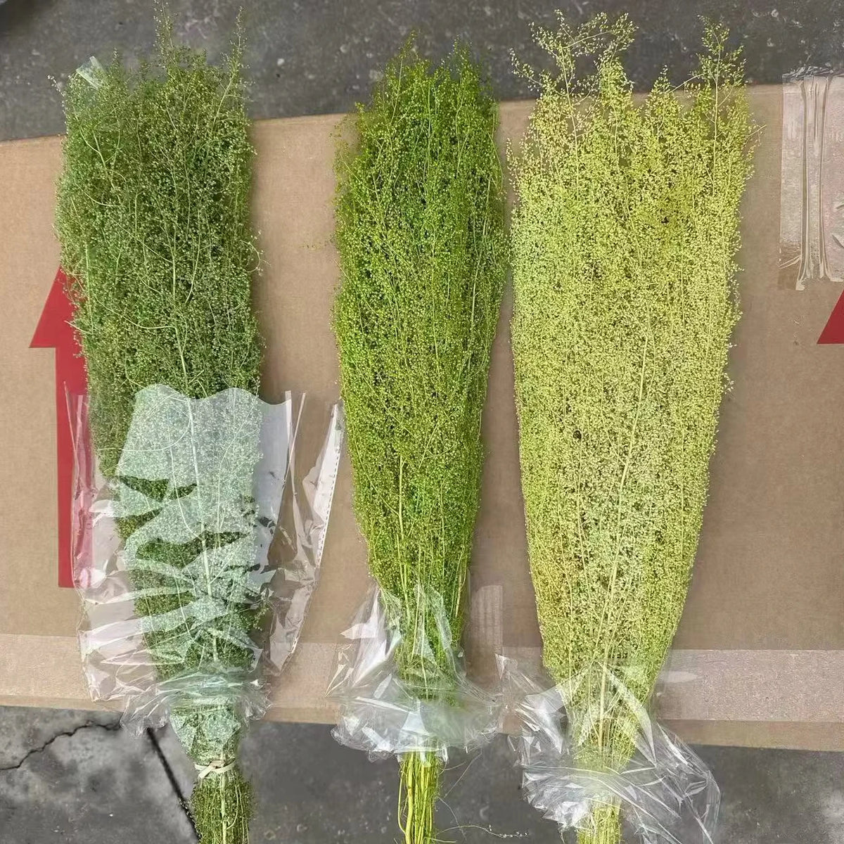 Natural Decorative Dried Flowers Plants Artemisia Oryzae Dried Flowers for Home Wedding Party Events Decor Flower Arrangement