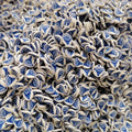 1KG DIY Craft Slime Sprinkles Blue Sea Conch Marine Animal Polymer Clay  Sprinkles Slices