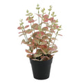Factory Cheap Price Nice Real Touch Artificial Potted Plants Small Artificial Succulents Plants for Office Table Desk Decoration