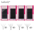 Lashonly Individual 3d 4d 5d 6d Shape w Y Weave Cluster Clover Lashes Eyelash Extensions Wholesale
