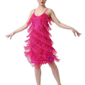Ready to Ship Latin Dress With Fringe Salsa Tango Ballroom Dance Dress Festival Party Club Sequin Tassel Dress