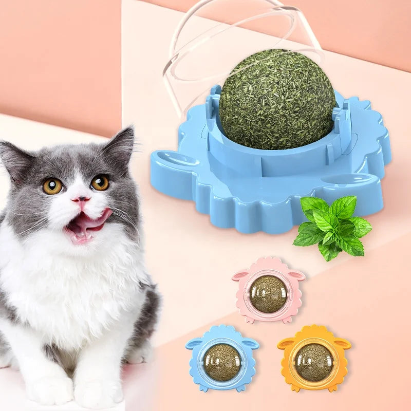 Customize New Design Cat Toy Ball Molar Teeth Clean Nature Plant Pet Toy for Calm Down Happy Cat Lick Toy Catnip  Cat Nip