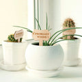 Wooden Plant Labels Garden Plant Markers Bamboo Plant Labels Tags