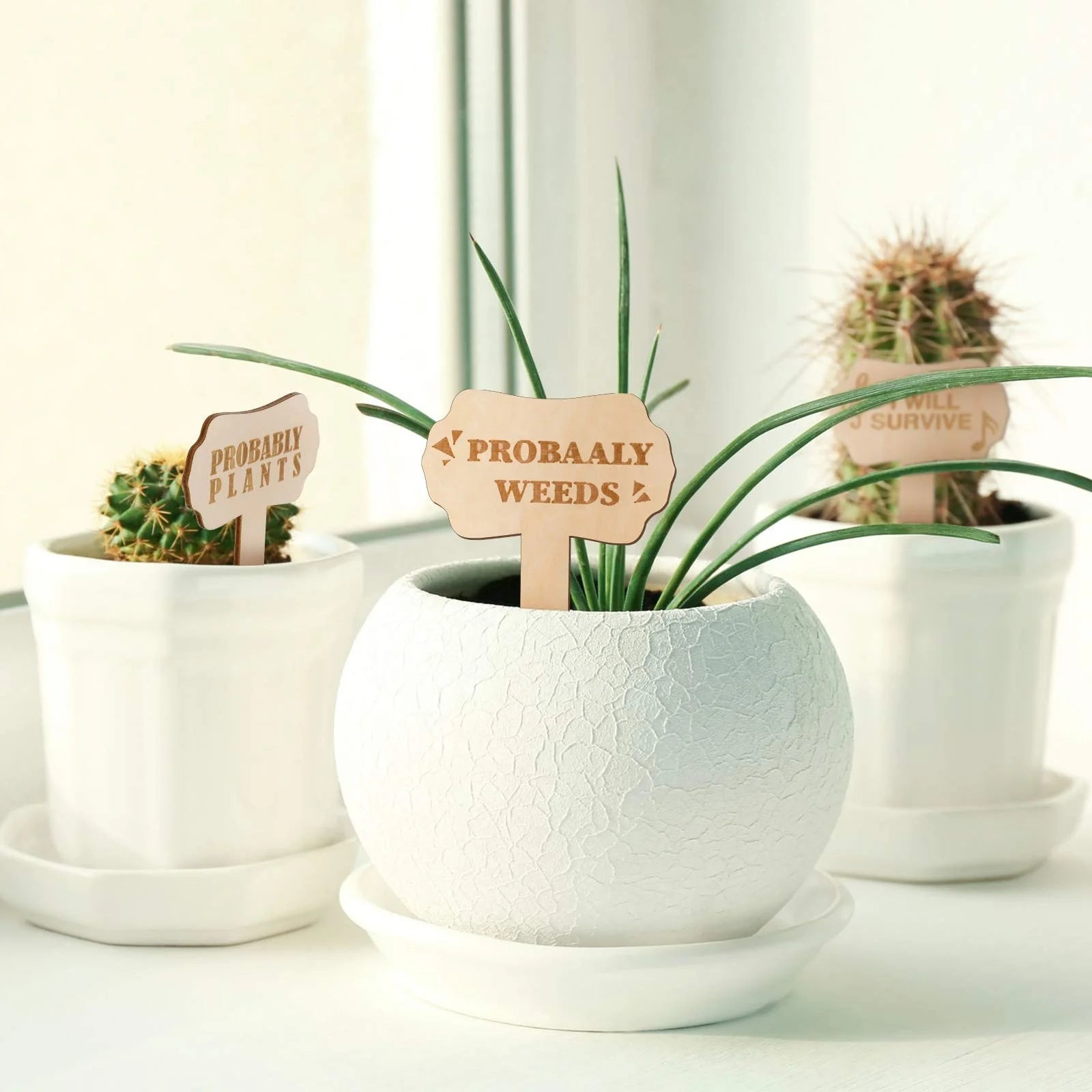 Wooden Plant Labels Garden Plant Markers Bamboo Plant Labels Tags