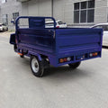 60V 1000W Electric Cargo Tricycles Three-Wheel Motorized Vehicle with Steel Material Widely Available for Sale