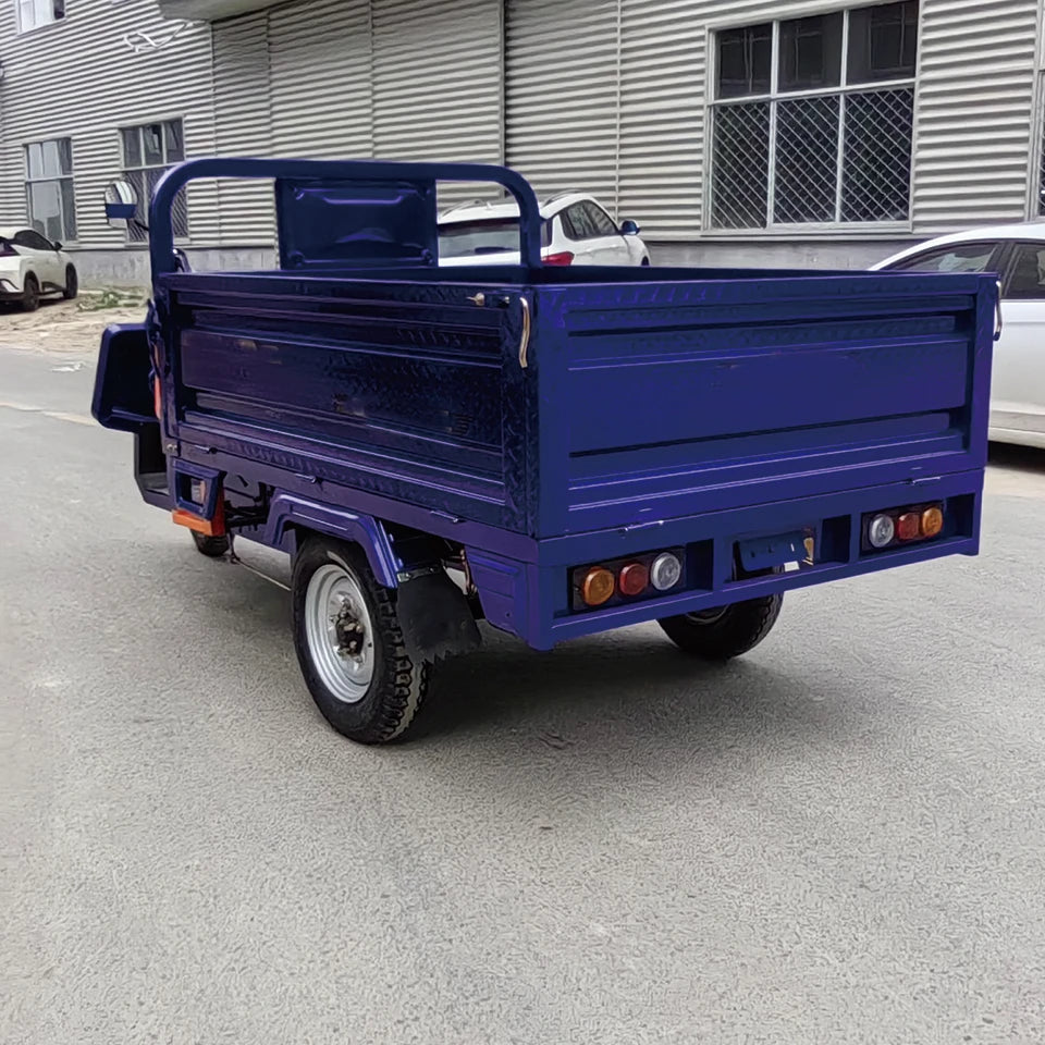60V 1000W Electric Cargo Tricycles Three-Wheel Motorized Vehicle with Steel Material Widely Available for Sale