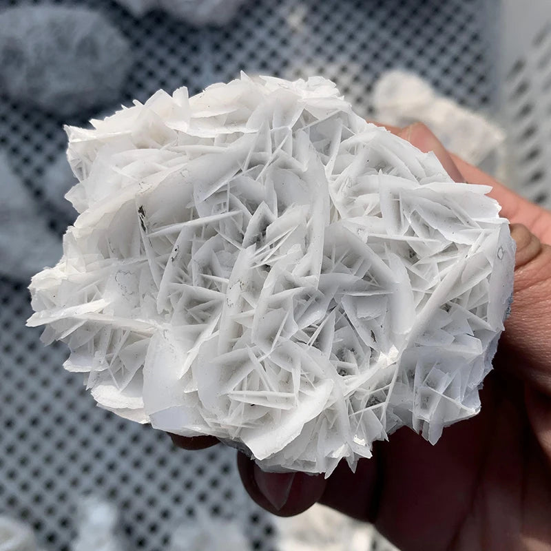 Wholesale Natural Raw Rough Healing Crystals Stone Mineral Specimen White Rose Calcite for Decoration MegaBDM
