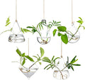 Dropshipping Terrarium Container Flower Plants Hanging Glass for Propagating Hydroponic Plants Home Garden Ball Wedding Decor