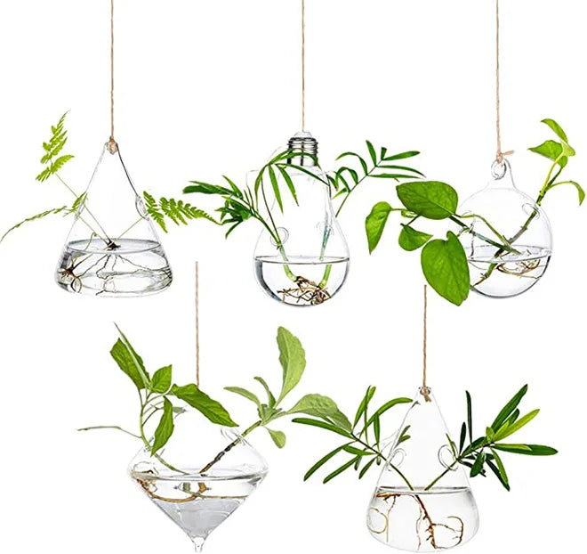 Dropshipping Terrarium Container Flower Plants Hanging Glass for Propagating Hydroponic Plants Home Garden Ball Wedding Decor