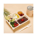 Biodegradable Disposable Food Container Packaging Box 5 Compartment Microwave Safe Takeout Cornstarch Lunch Box