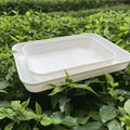 Mosquito Larval Collection Tray for Rearing Mosquito Larvae for Laboratory Colonies