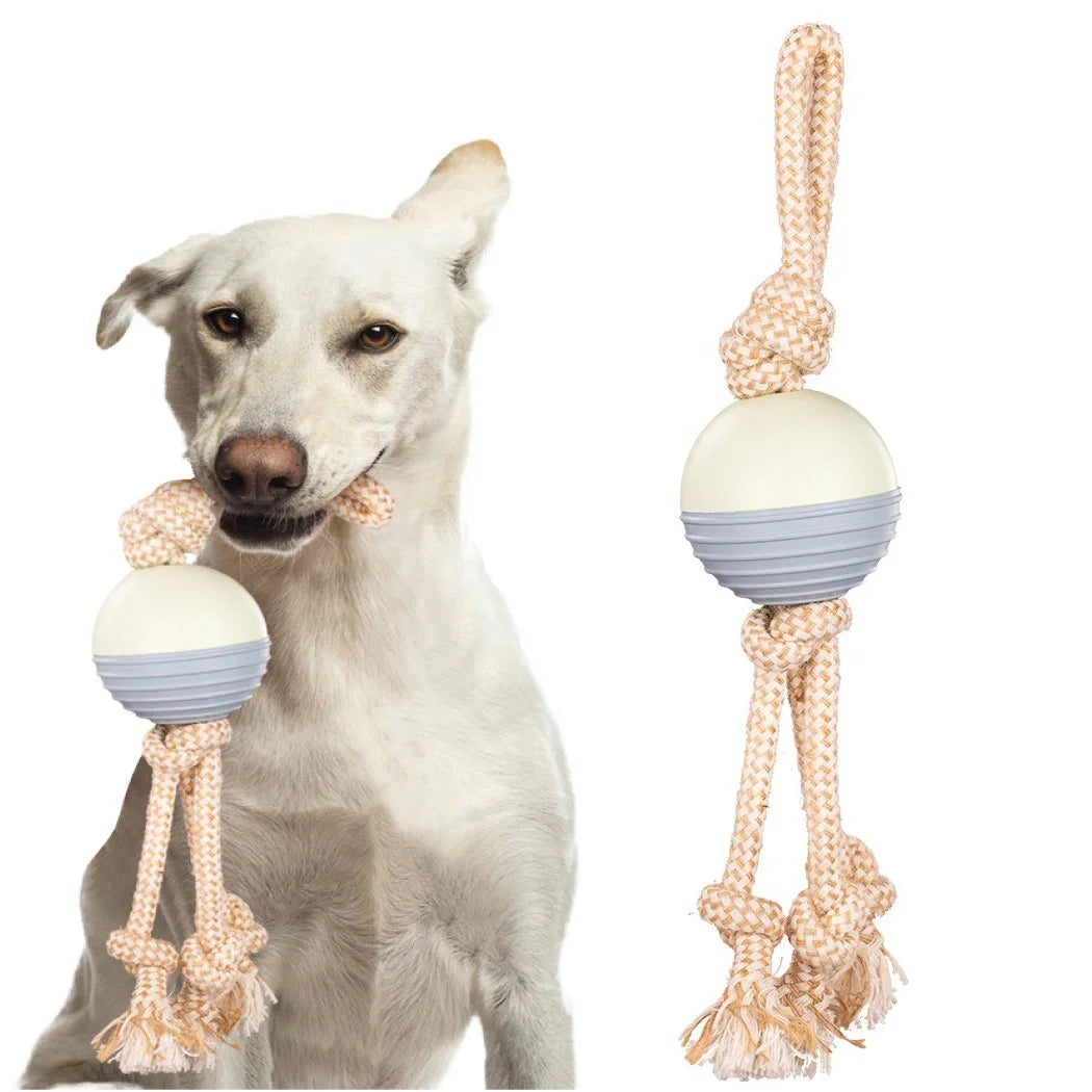 7.5CM Classic Style Outdoor Training Interactive Dog Chew Toys Bite-Resistance Rubber and Cotton Rope Ball Teeth Cleaning Toy