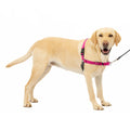 Wholesale for PetSafe for Easy Walk Dog Harness Adjustable Reflective Nylon Oxford for Medium Large Dogs No Pull Dog Harness Riv