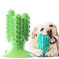 Cute Cartoon Shaped Cactus Toothbrush Stick Dog Eco-Friendly TPR Rubber Pet Bone Chew Teeth Cleaning Waste Disposal 3 Colors