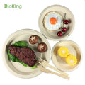 BioKing 100% Compostable 9 Inch Disposable Bagasse Paper Plates Biodegradable Sugarcane for Party Free Sample Available DDP USA / America