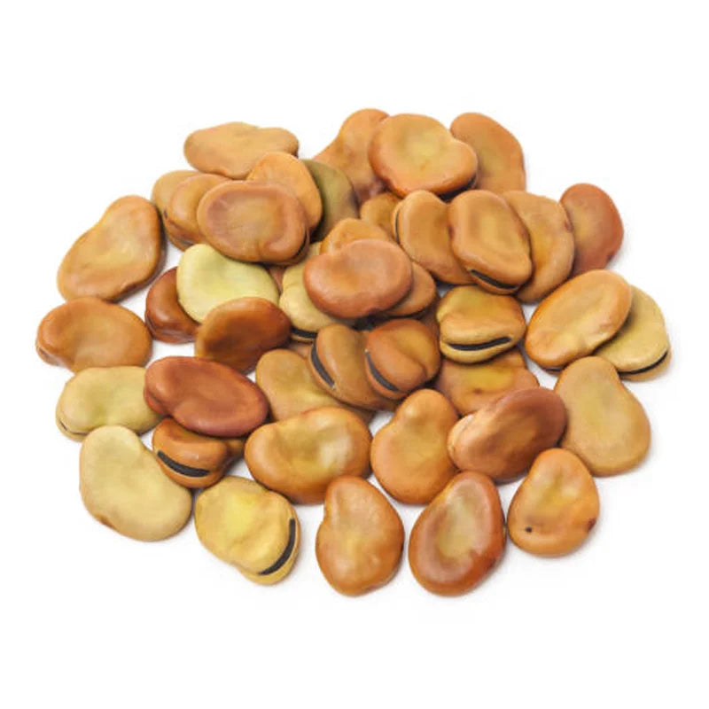 OEM ODM Food Grade Green Broad Beans Custom Small to Medium Round Dried Fava Beans Seed Extract Wholesale Bulk