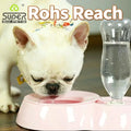 Wholesale SD Melamine Fountain Pet Water Fountain Indoor Replendish Gravity Feeder Blue Dog