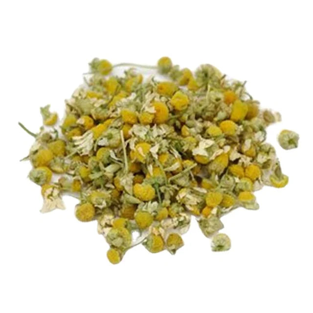 EU Standard ISO Certified Top Grade Chamomile Flower Tea Loose Bulk Health Tea in Bag or Box Packaging Dried Chamomile