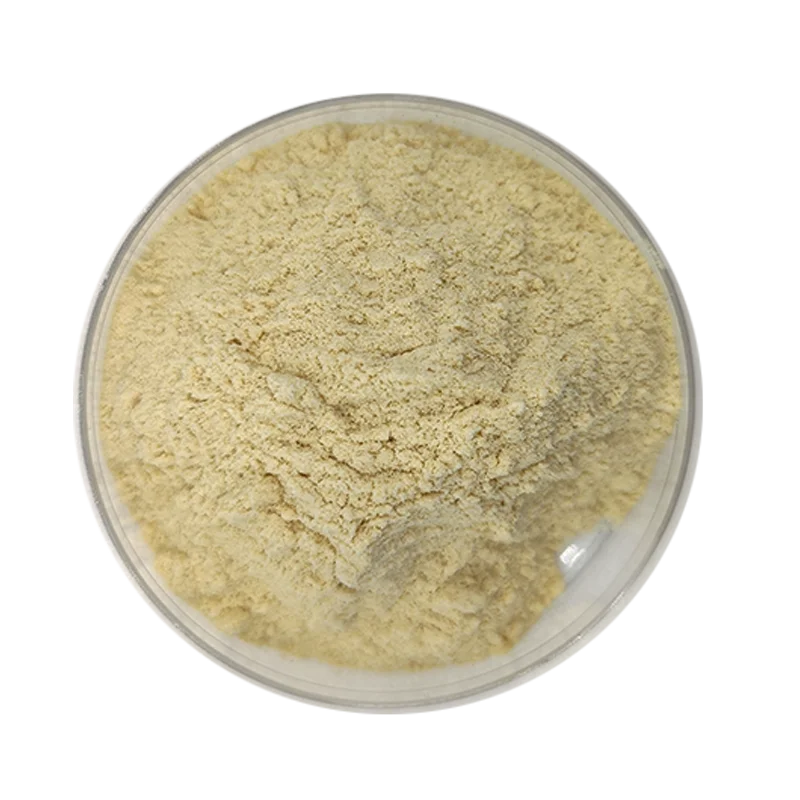 Natural Food Grade Bulk Organic Soybean Lecithin Powder Non-GMO