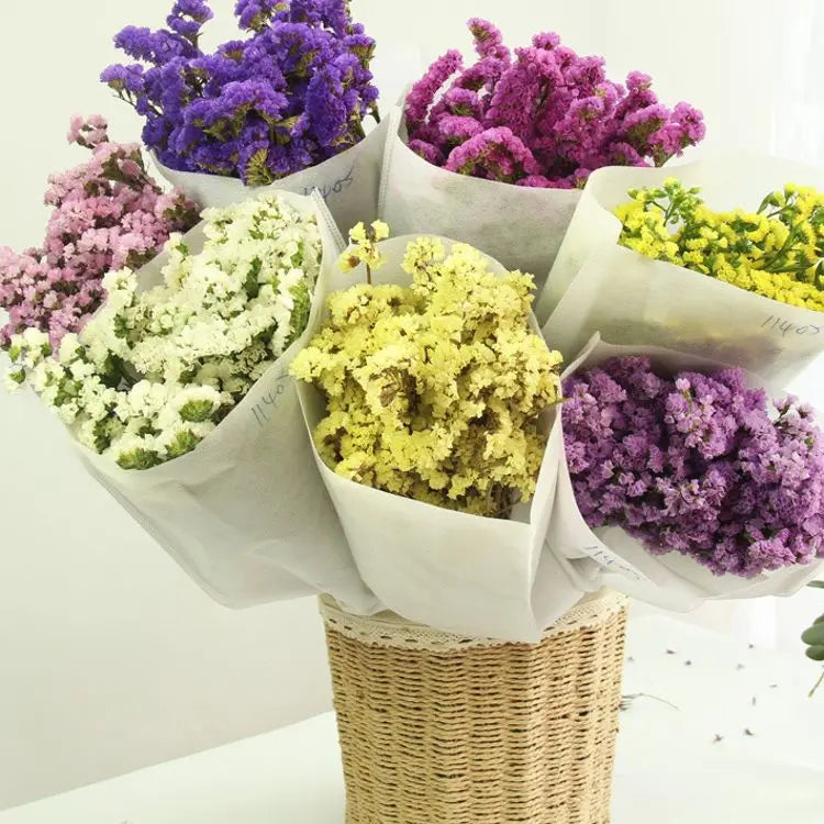 Wholesale Popular Preserved Flowers Forget Me Not Myosotis Flowers Statice for Home Decor