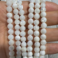 Wholesale 6mm Natural Sea Shell Bamboo Round Beads for Jewelry Making DIY Bracelet Necklace Accessories
