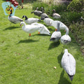 Artificial Inflatable EVA Foam Canadian Goose Duck Hunting Decoy-Lightweight & Water Resistant
