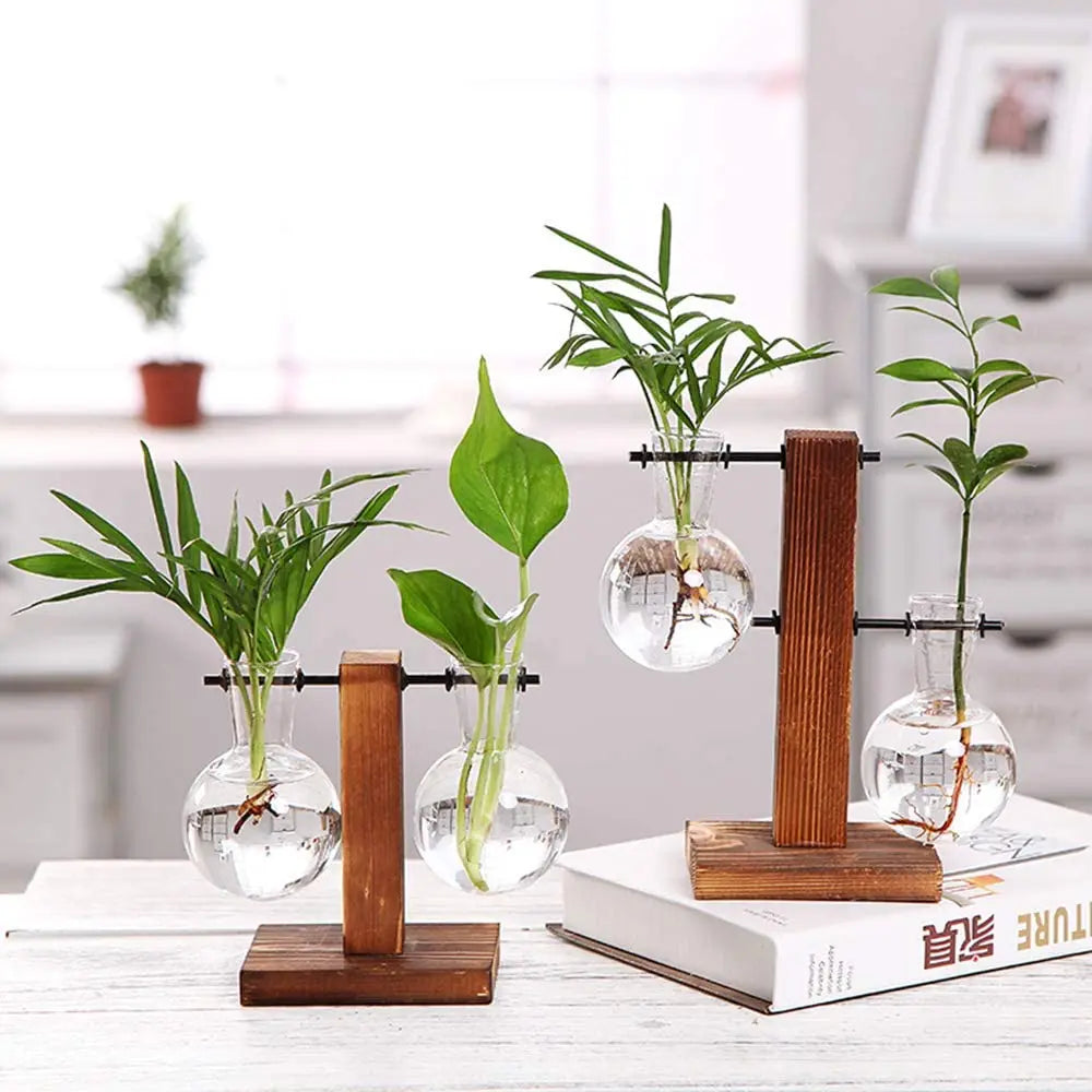 Hydroponic Vase Vintage Desktop Plant Terrarium Planter Bulb Glass Vase Water Planting Propagation Stations Libra Planter