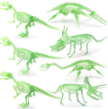 Realistic Sculpture Miniature PVC Figurines DIKINA Animal Grow Dark Skeleton Characters Kids Toys Promotion Gifts