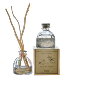 Wholesale Household Aromatherapy Transparent Glass Bottles Bottle 50ml 150ml 100ml