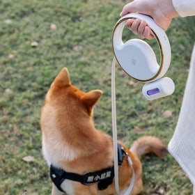 ZMaker Custom Dog Leash Manufacturers New Designer LED Adjustable Length Nylon Dog Leash