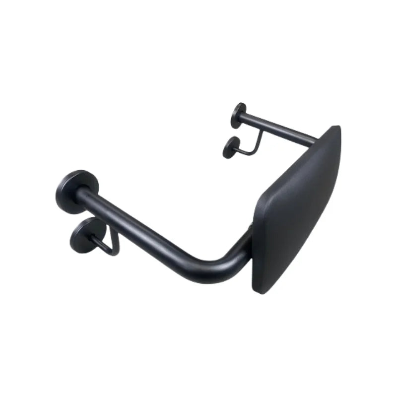 Stainless Steel Matte Black Disabled Toilet Backrest